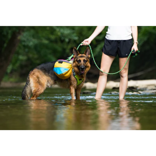 Adventure 2-Piece Dog Pack by Alpha Pak