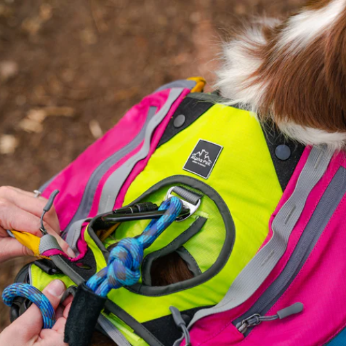 Adventure 2-Piece Dog Pack by Alpha Pak